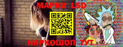 сатива Нальчик