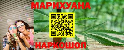 сатива Нальчик